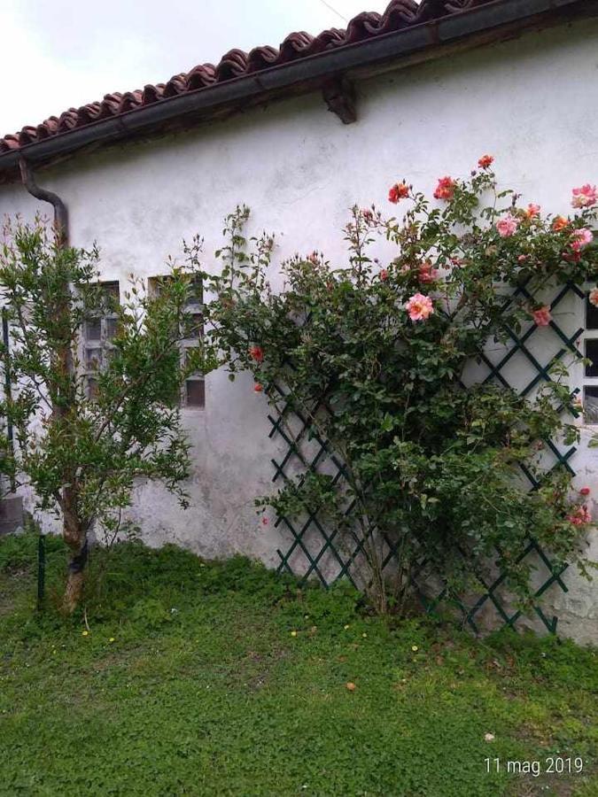 Beb Infamiglia Bed and Breakfast Cascinette Buitenkant foto